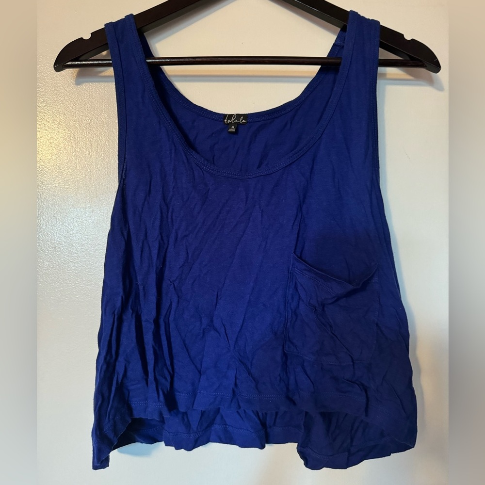 aritzia crop top